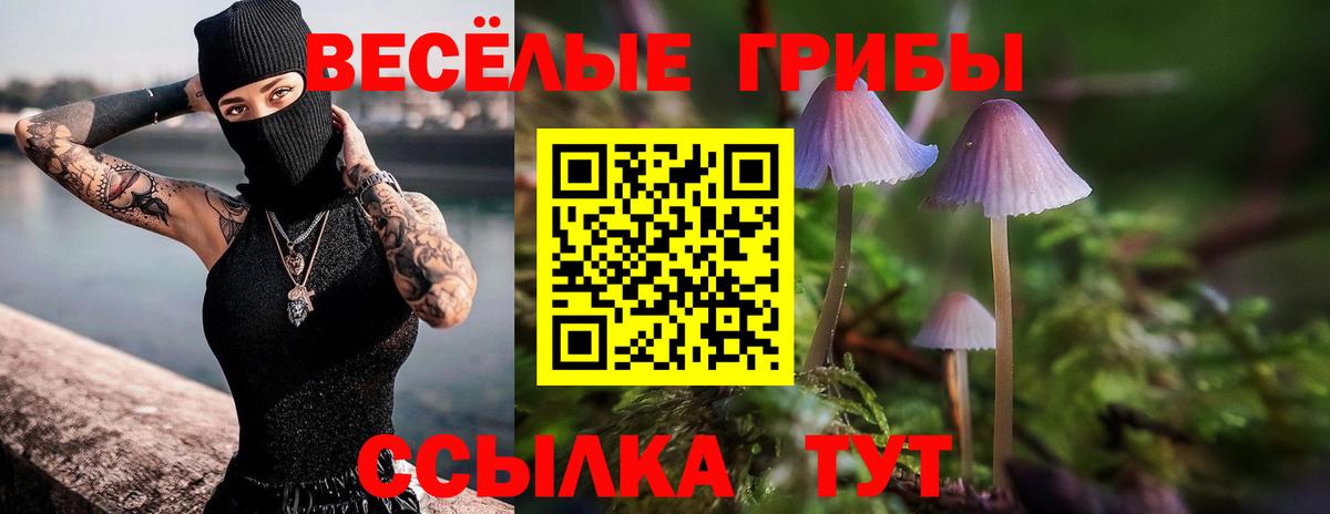 Галлюциногенные грибы Magic Shrooms Кунгур